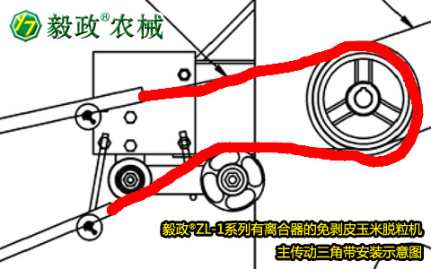 毅政牌ZL1系列有離合器的免剝皮玉米脫粒機(jī)，主傳動(dòng)三角帶正確安裝